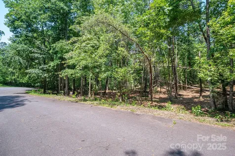 Lot 5 Annapolis Court Rutherfordton NC 28139