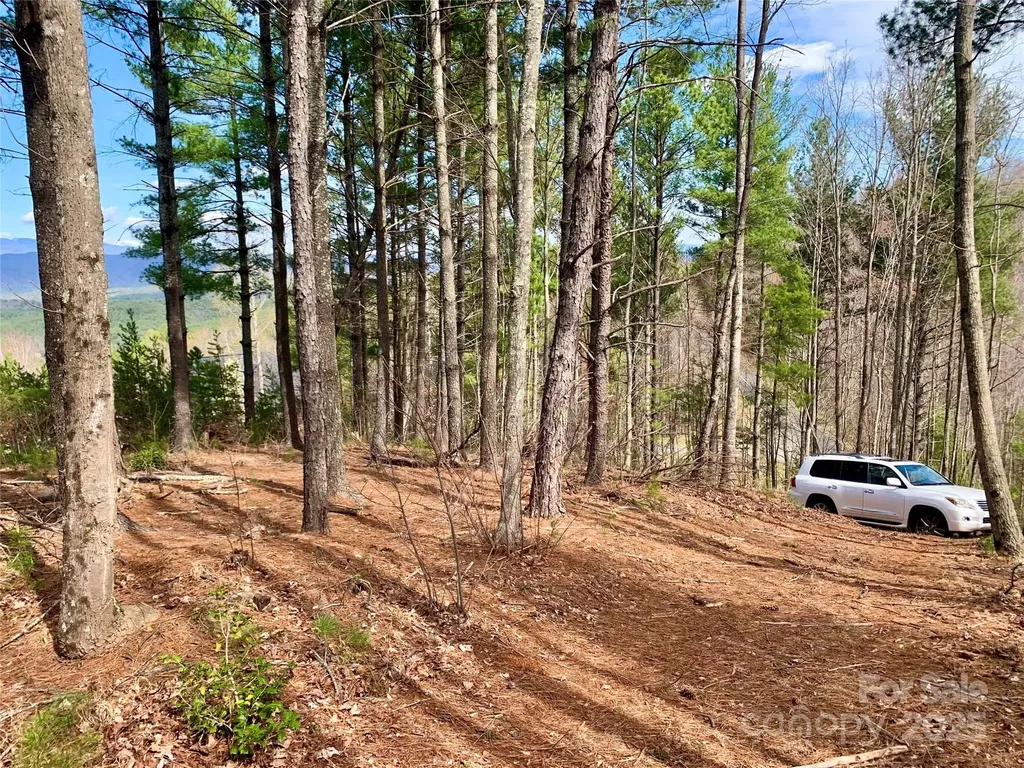 1.62 Acres, Lot 204b Johns Ridge Parkway Lenoir NC 28645