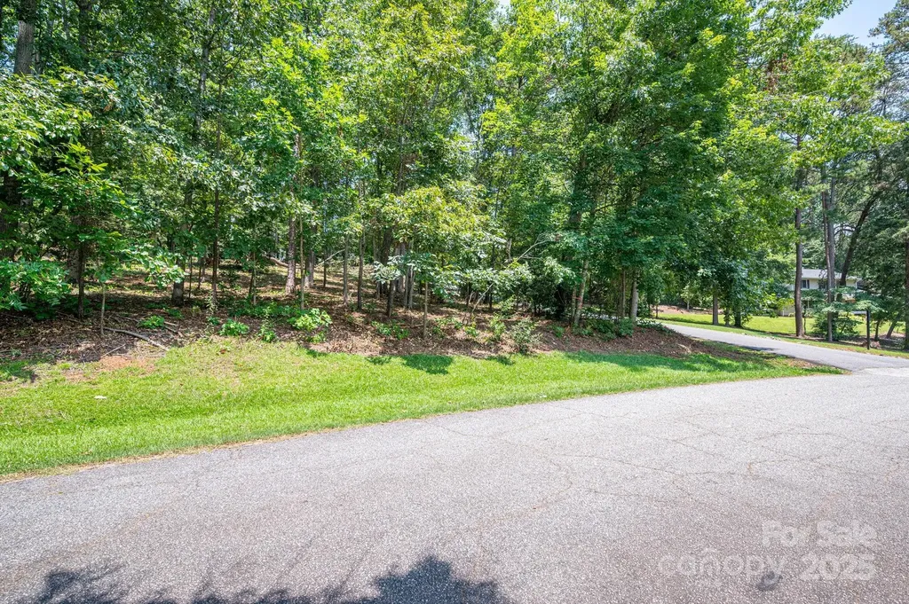 Lot #9 Moss Drive Rutherfordton NC 28139