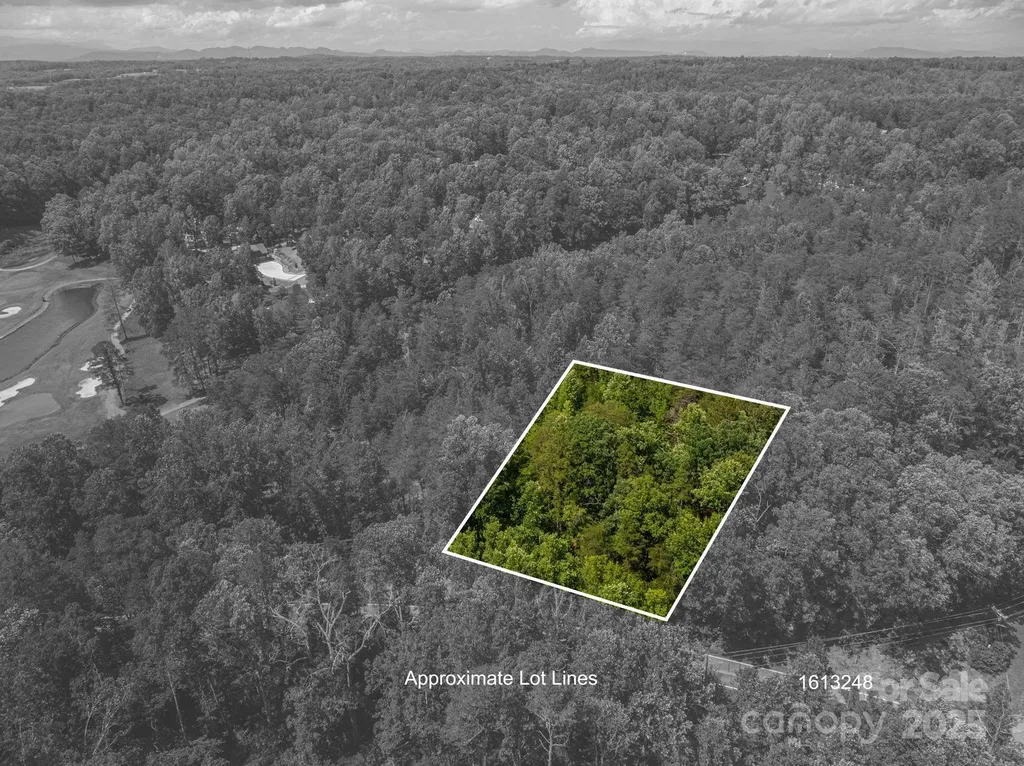 Lot 7 Cleghorn Mill Road Rutherfordton NC 28139
