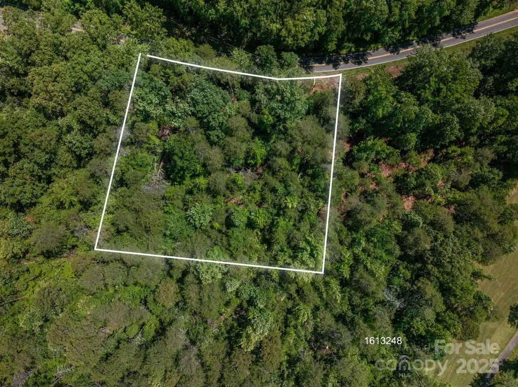 Lot 7 Cleghorn Mill Road Rutherfordton NC 28139