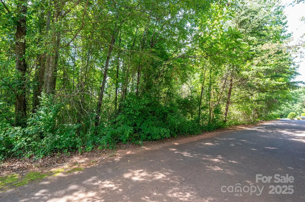 Lot #24 Deacons Ridge Drive Rutherfordton NC 28139