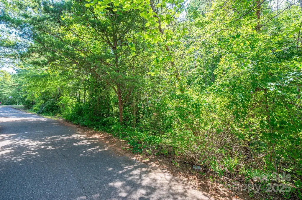 Lot #24 Deacons Ridge Drive Rutherfordton NC 28139
