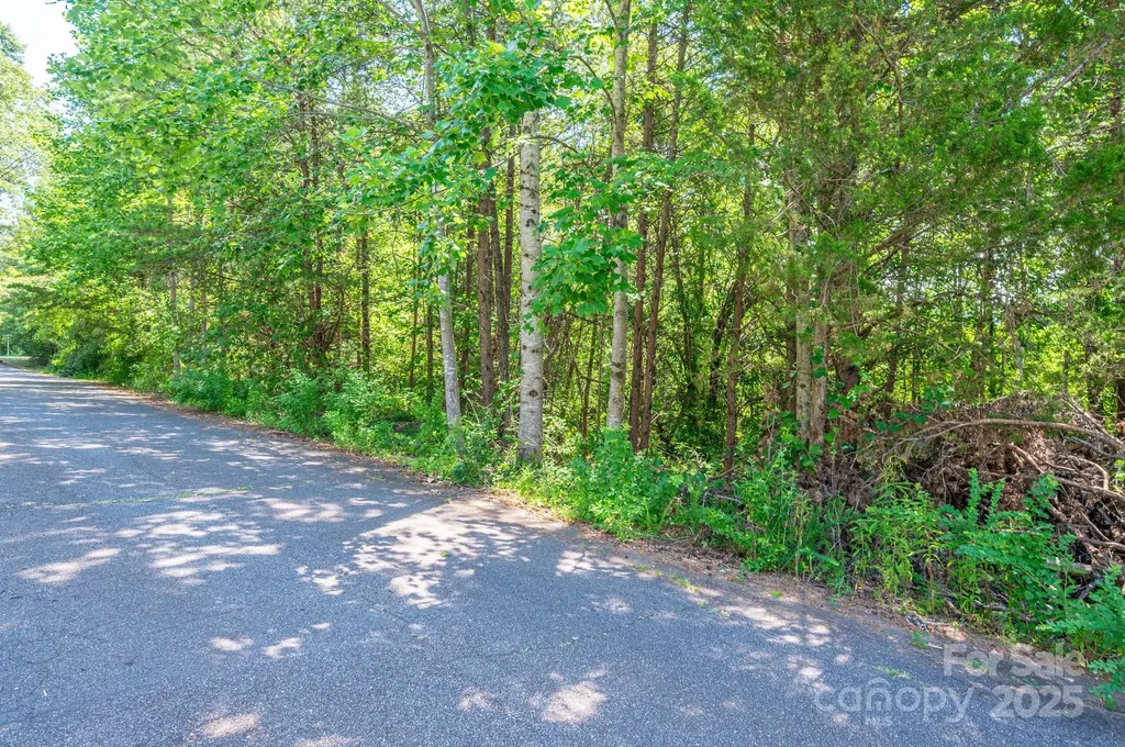 Lot #24 Deacons Ridge Drive Rutherfordton NC 28139