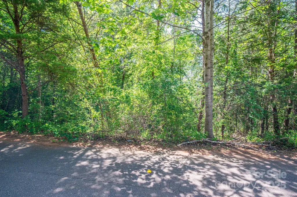 Lot #24 Deacons Ridge Drive Rutherfordton NC 28139