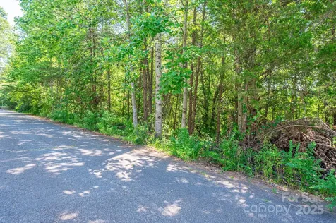 Lot #24 Deacons Ridge Drive Rutherfordton NC 28139
