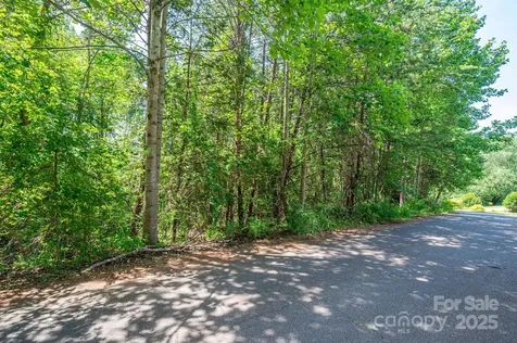 Lot #24 Deacons Ridge Drive Rutherfordton NC 28139