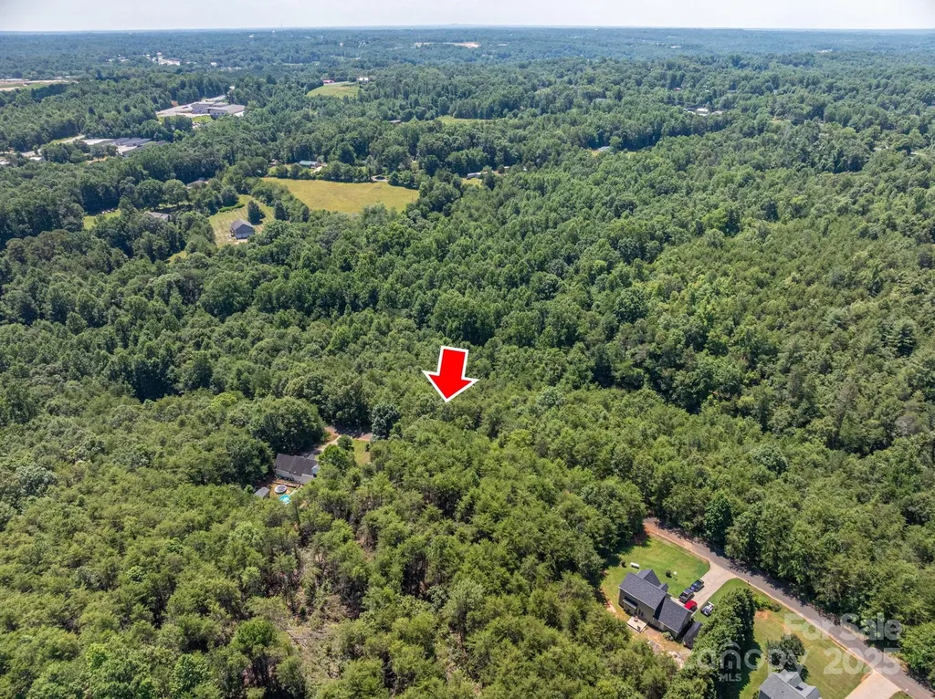 Lot 10 Meadow Crossing Drive Rutherfordton NC 28139