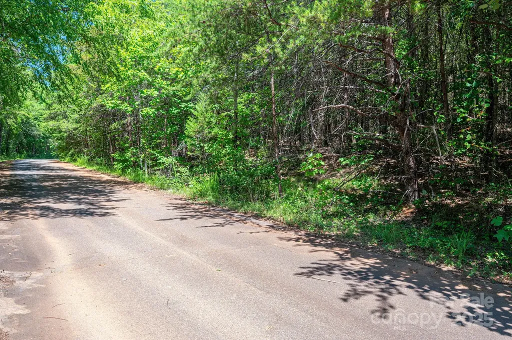 Lot 10 Meadow Crossing Drive Rutherfordton NC 28139