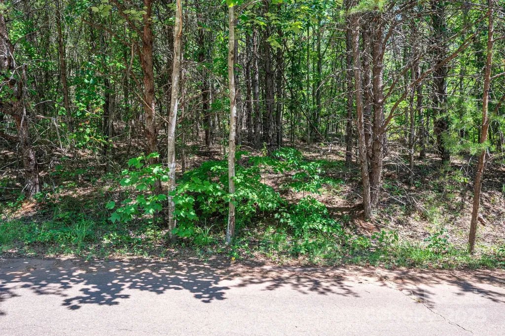 Lot 10 Meadow Crossing Drive Rutherfordton NC 28139