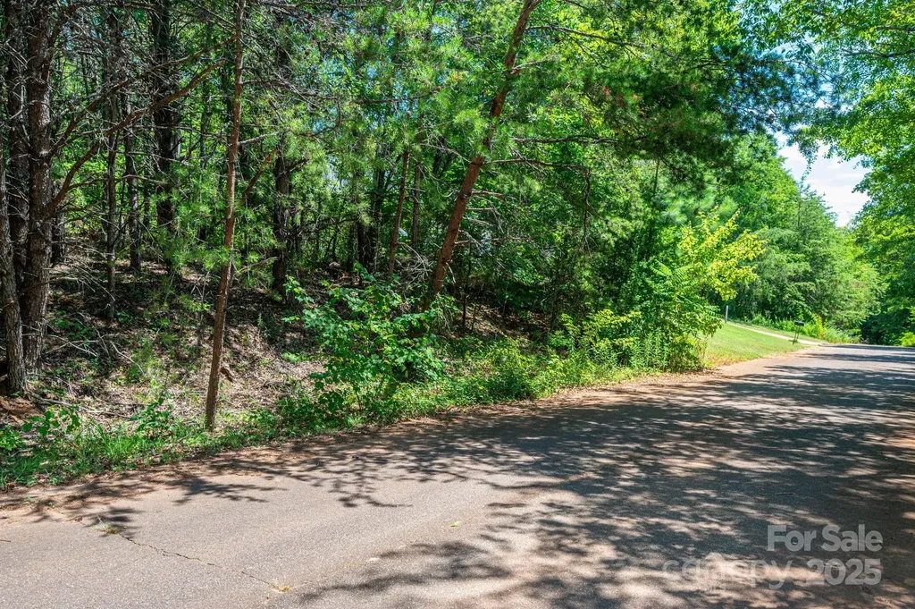 Lot 10 Meadow Crossing Drive Rutherfordton NC 28139