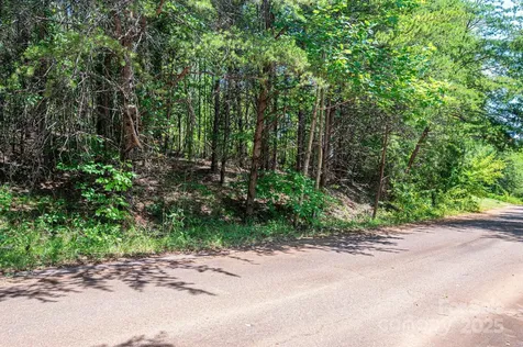 Lot 10 Meadow Crossing Drive Rutherfordton NC 28139