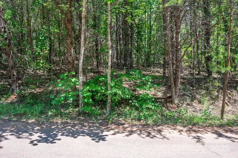 Lot 10 Meadow Crossing Drive Rutherfordton NC 28139