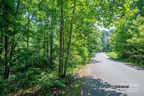 Lot Washburn Lane Rutherfordton NC 28139