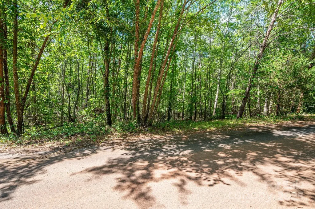 Lot #14 Meadow Crossing Drive Rutherfordton NC 28139