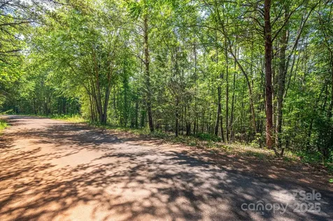 Lot #14 Meadow Crossing Drive Rutherfordton NC 28139