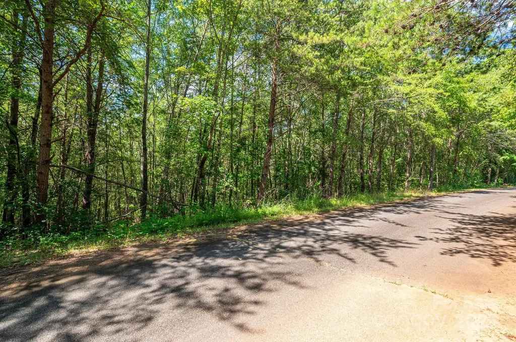 Lot #13 Meadow Crossing Drive Rutherfordton NC 28139