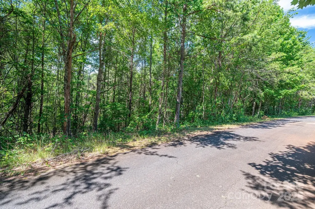 Lot #13 Meadow Crossing Drive Rutherfordton NC 28139