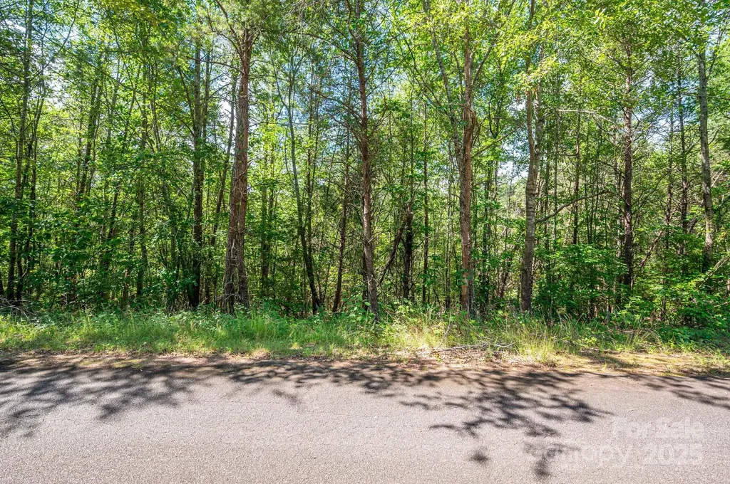 Lot #13 Meadow Crossing Drive Rutherfordton NC 28139
