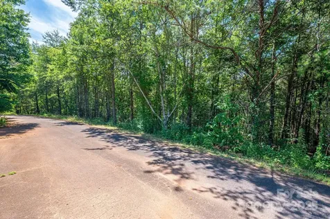 Lot #13 Meadow Crossing Drive Rutherfordton NC 28139