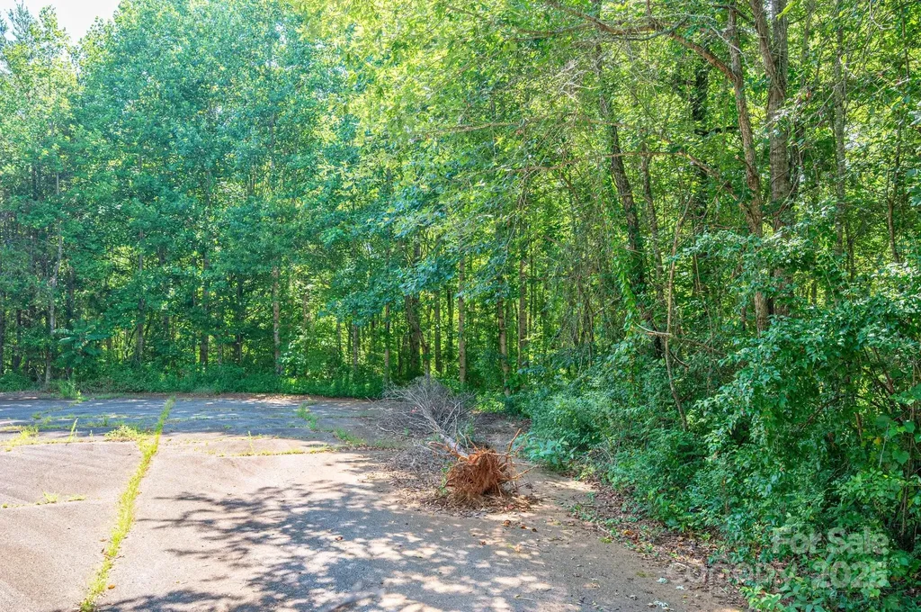 Lot #17 Meadow Crossing Drive Rutherfordton NC 28139