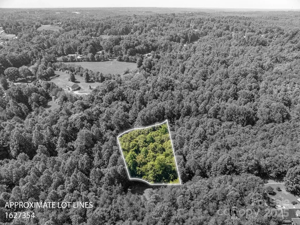 Lot #17 Meadow Crossing Drive Rutherfordton NC 28139