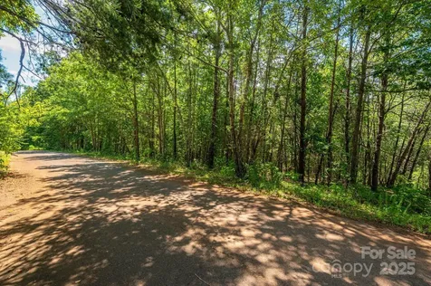 Lot # 15 Meadow Crossing Drive Rutherfordton NC 28139