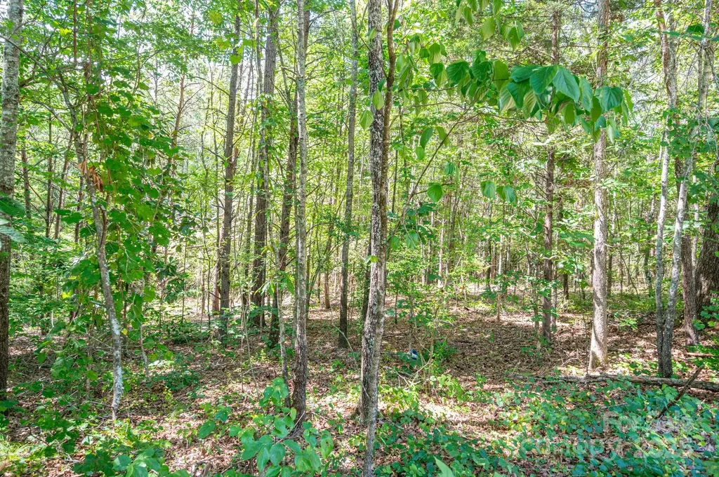 Lot # 16 Meadow Crossing Drive Rutherfordton NC 28139