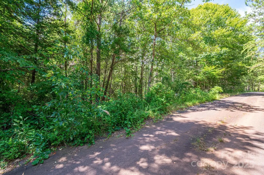 Lot # 16 Meadow Crossing Drive Rutherfordton NC 28139