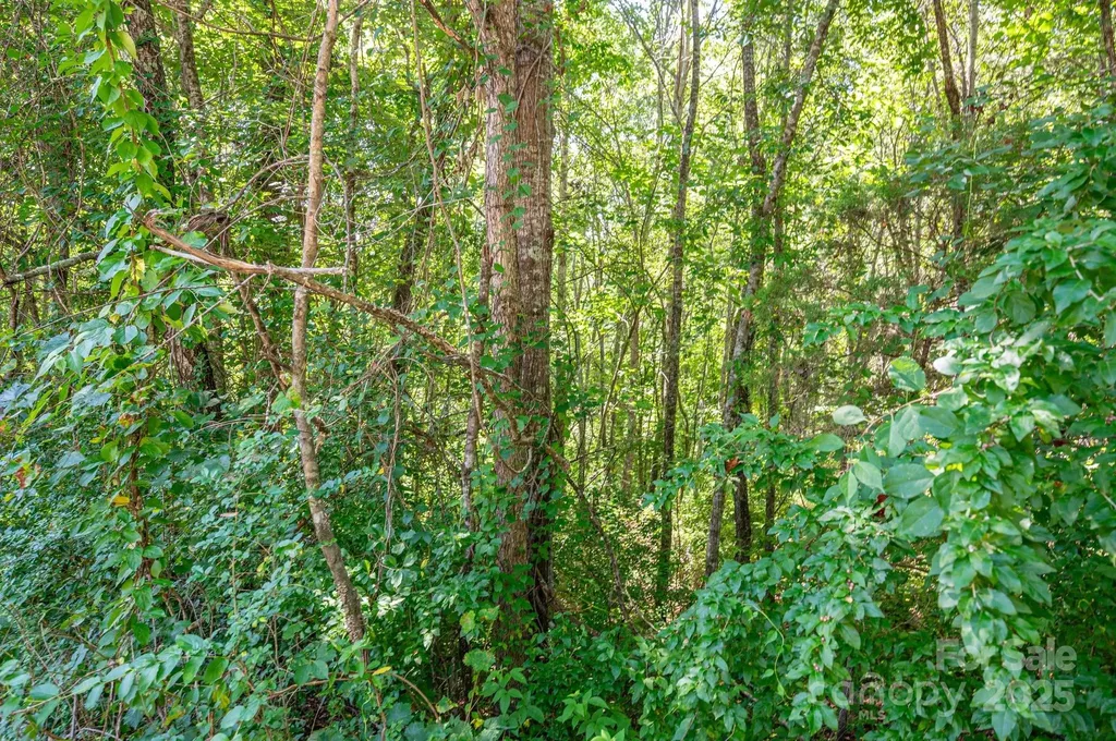 Lot # 16 Meadow Crossing Drive Rutherfordton NC 28139