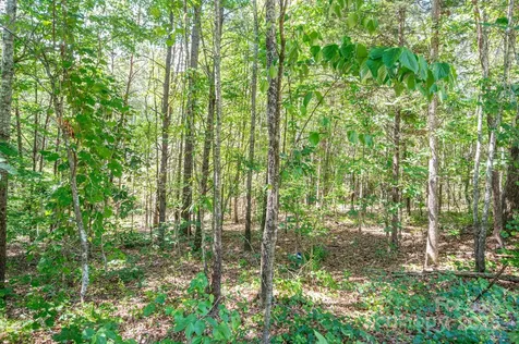 Lot # 16 Meadow Crossing Drive Rutherfordton NC 28139