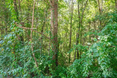 Lot # 16 Meadow Crossing Drive Rutherfordton NC 28139