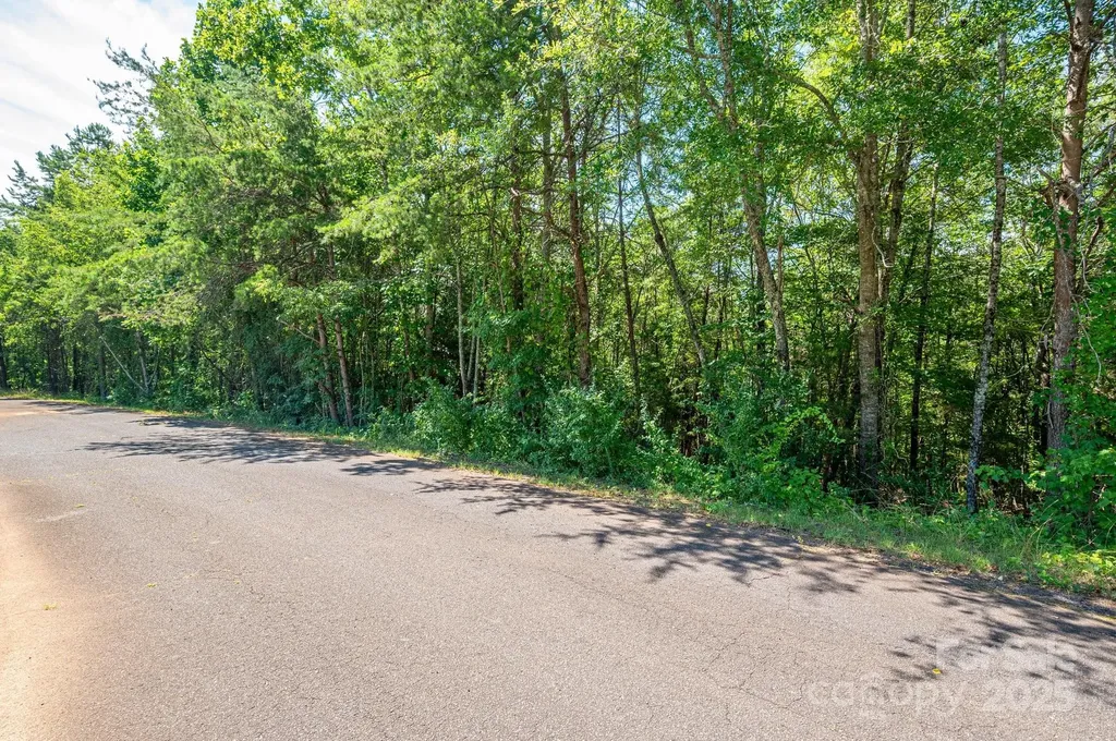 Lot 7 Meadow Crossing Drive Rutherfordton NC 28139