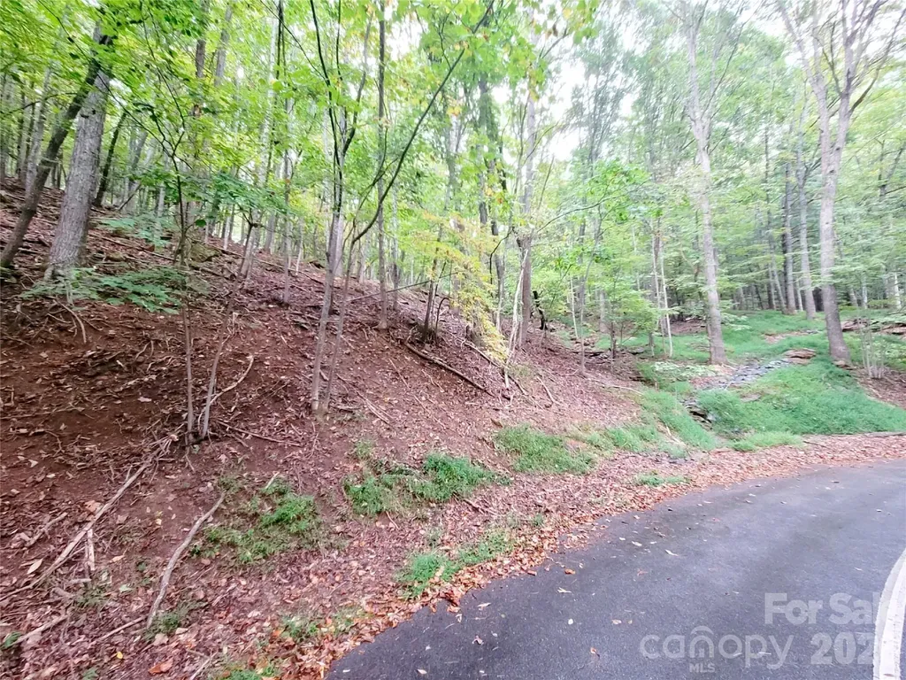 47 Sourwood Drive Mills River NC 28759