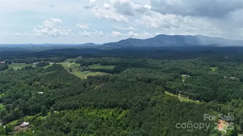 221 Flat Branch Trail Mill Spring NC 28756