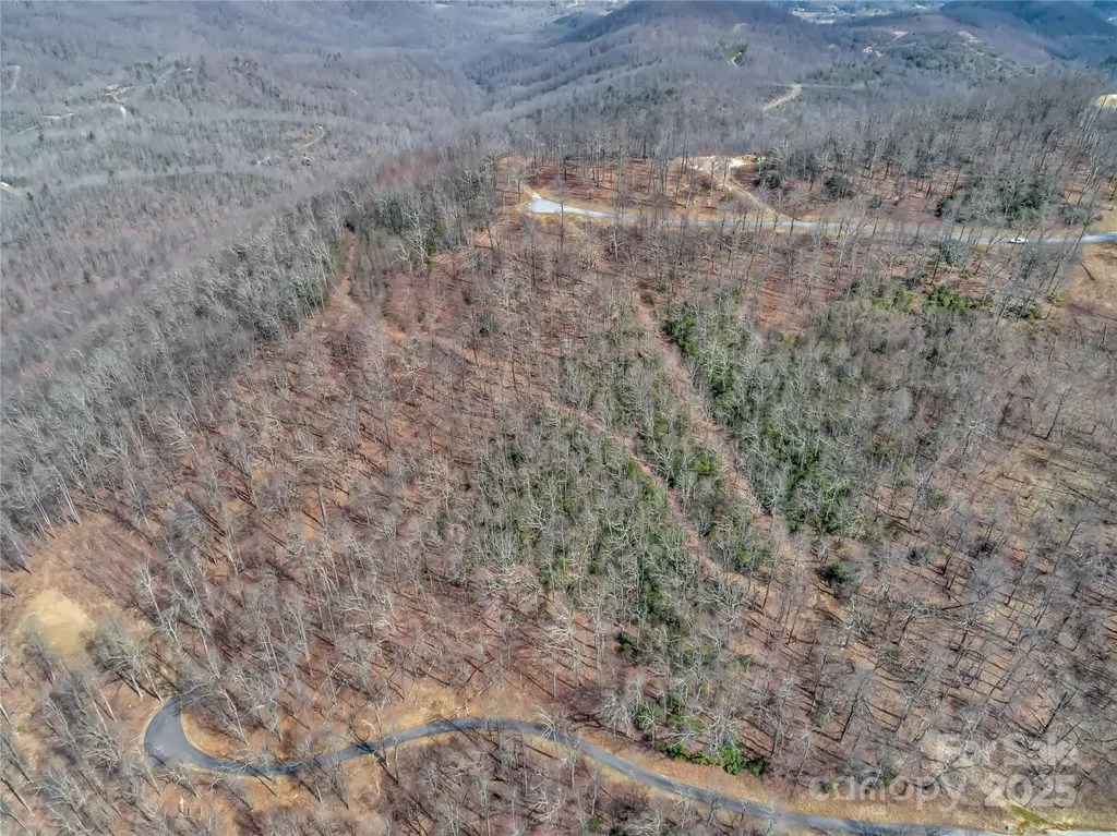 154 High Cliffs Trail Black Mountain NC 28711
