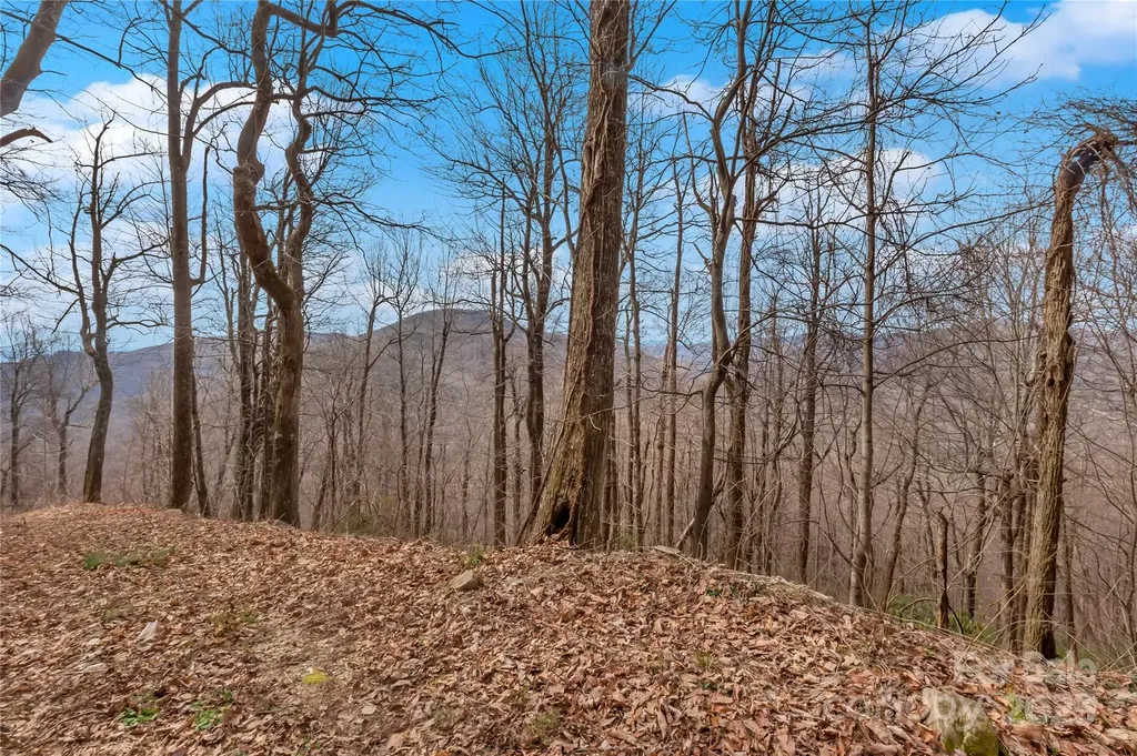 154 High Cliffs Trail Black Mountain NC 28711