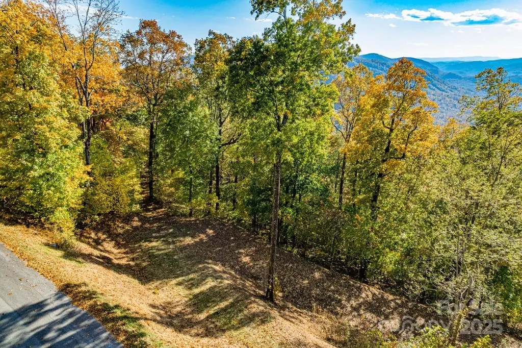 154 High Cliffs Trail Black Mountain NC 28711