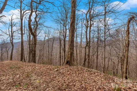 154 High Cliffs Trail Black Mountain NC 28711