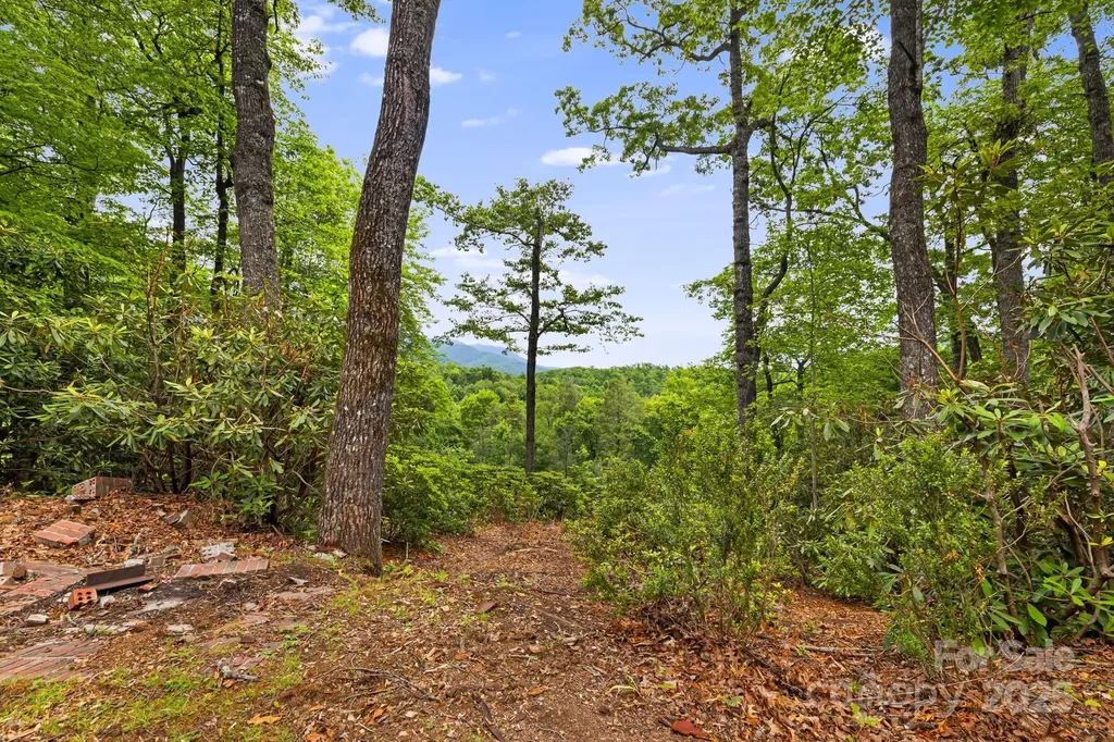 285 Fairway Loop Burnsville NC 28714