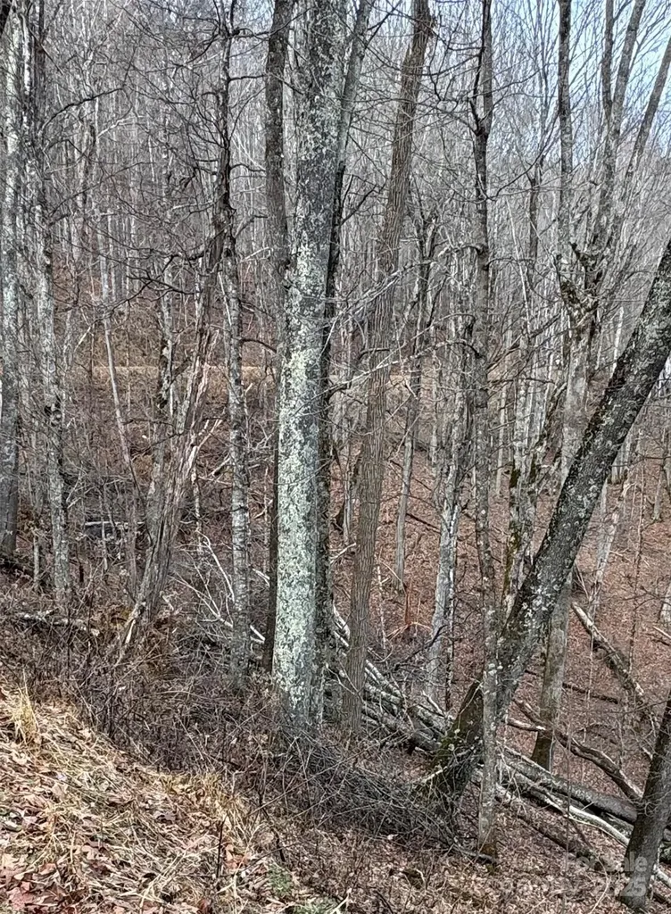 00 Spring Brook Drive Mars Hill NC 28754