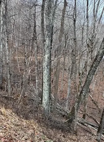 00 Spring Brook Drive Mars Hill NC 28754
