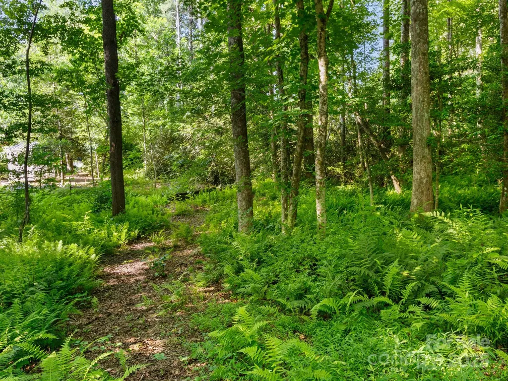 000 Old Town Way Hendersonville NC 28739