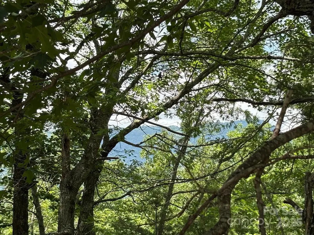 Lot 34 N Oakwood Drive Marion NC 28752