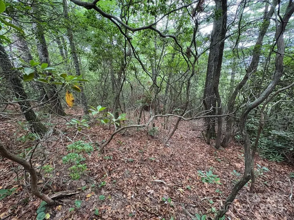 Lot 34 N Oakwood Drive Marion NC 28752