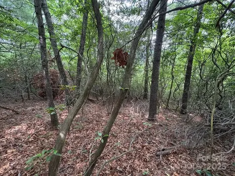 Lot 34 N Oakwood Drive Marion NC 28752