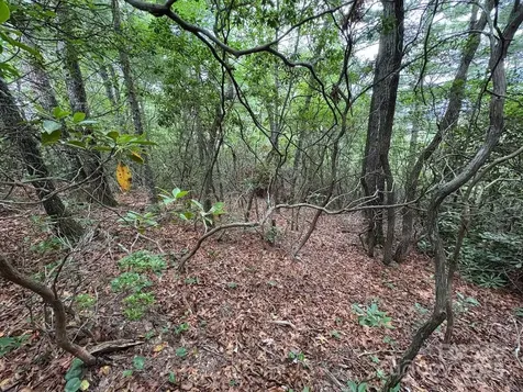 Lot 34 N Oakwood Drive Marion NC 28752