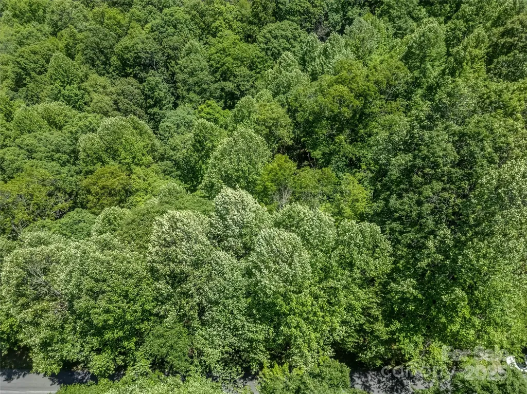 0000 Israel Road Brevard NC 28712