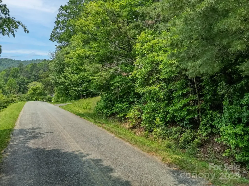 0000 Israel Road Brevard NC 28712