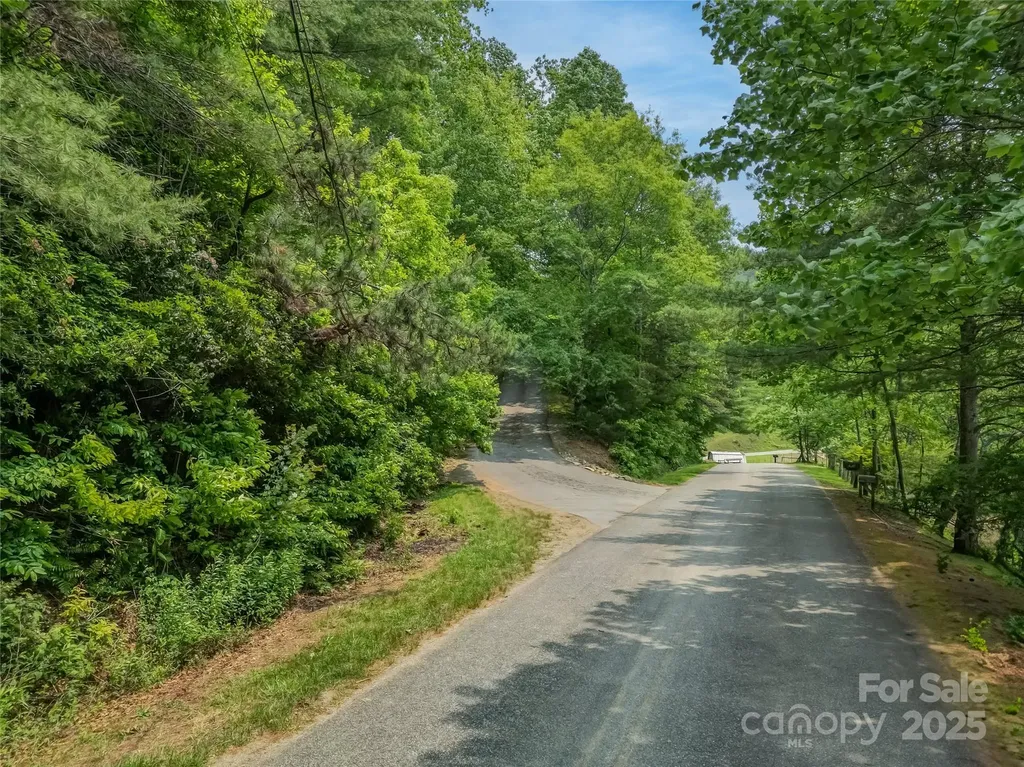 0000 Israel Road Brevard NC 28712